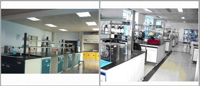 禽药与兽药新技术交流 以质量为核心，共筑未来兽药发展之路