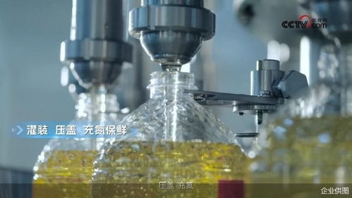 央视网探访多力安心工厂 揭秘降低油烟技术专利背后的创新奥秘