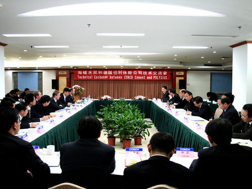 海螺水泥与伯利休斯公司深化技术交流，共谋绿色发展新篇章